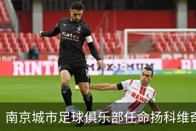 南京城市足球俱乐部任命扬科维奇为新任主教练